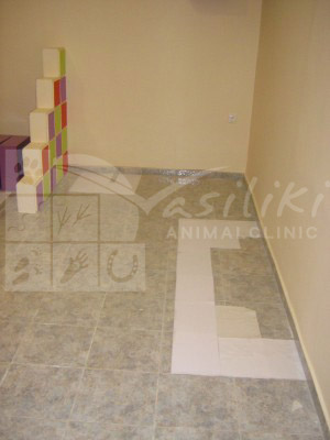 waiting area preparing1